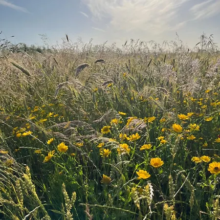 Holiday home Sielanka Dom Nad Morzem Slawoszyno